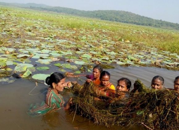 Village women clean only freshwater lake in Odisha, revive tourism