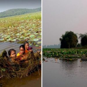 Village Women Take Charge And Clean Fresh Water Lake To Revive Tourism With Help Of An NGO