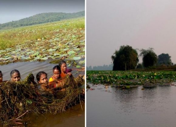 Village Women Take Charge And Clean Fresh Water Lake To Revive Tourism With Help Of An NGO