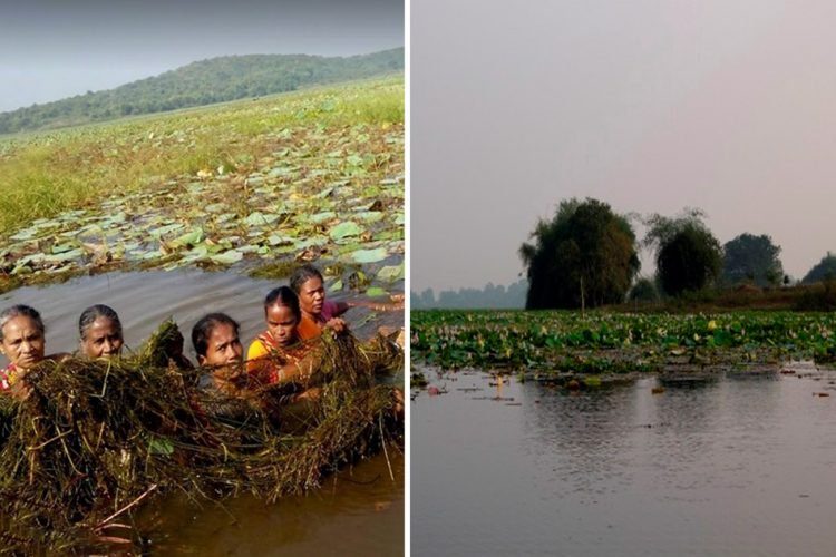 Village Women Take Charge And Clean Fresh Water Lake To Revive Tourism With Help Of An NGO Village Women Take Charge And Clean Fresh Water Lake To Revive Tourism With Help Of An NGO