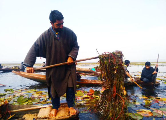 Revitalizing Dal Lake: Community Unites for Environmental Restoration