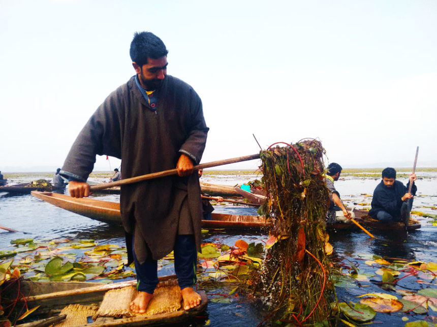 Community came together to clean its lake, its Lifeline