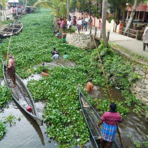 Allepy residents revive their scenic backwaters..