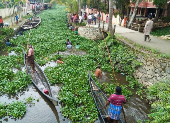 Revitalizing Lifelines: Kalyalpuram Residents Restore Their Backwaters