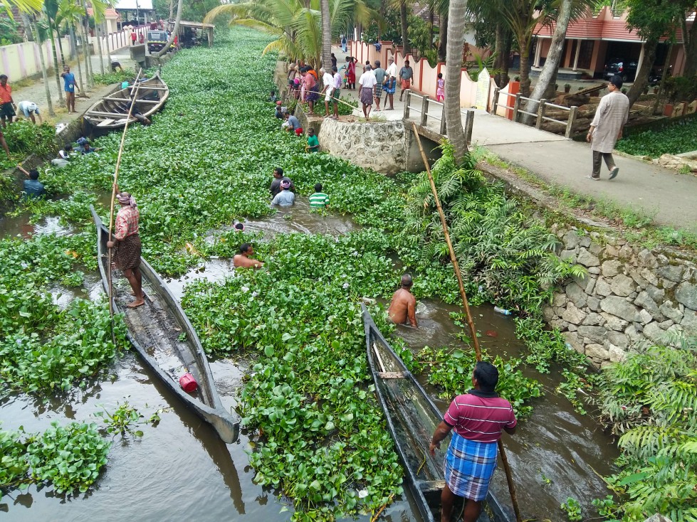 Allepy residents revive their scenic backwaters..