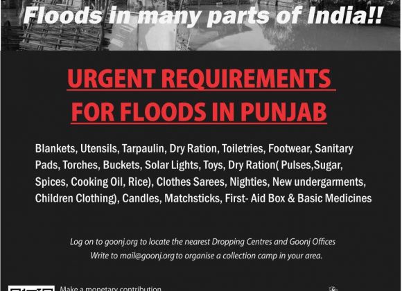 300+ villages in Punjab are badly hit by recent floods