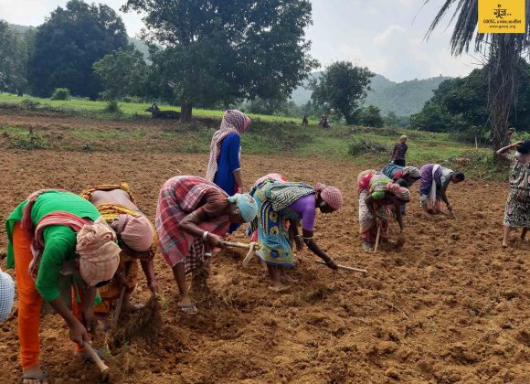 40 women converted 3-acres of land into their very own kitchen garden!!