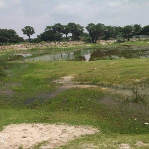For the people of Manjakuppam, Villupuram District in Tamil Nadu this pond was their main source of water