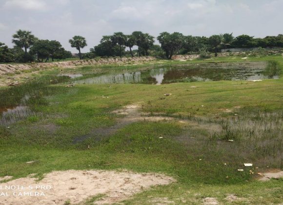 For the people of Manjakuppam, Villupuram District in Tamil Nadu this pond was their main source of water