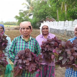 5 village women show how villages can find their way back to sustenance…