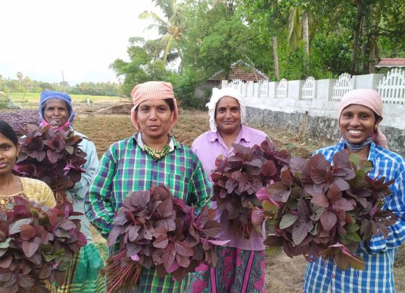 5 village women show how villages can find their way back to sustenance…