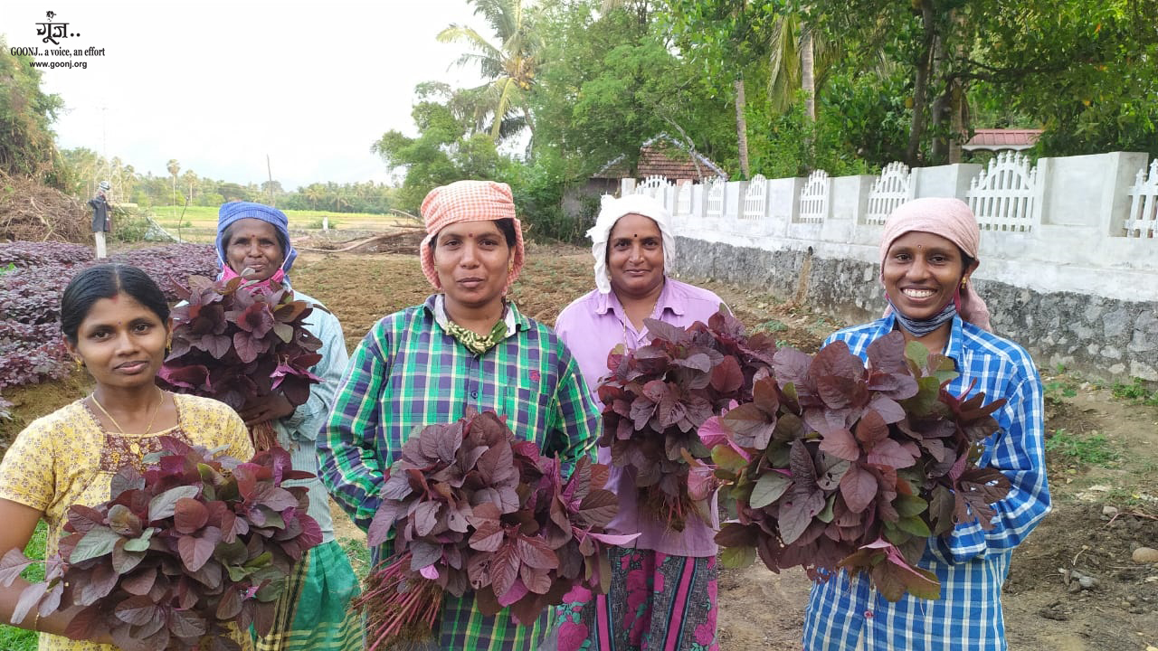 5 village women show how villages can find their way back to sustenance…