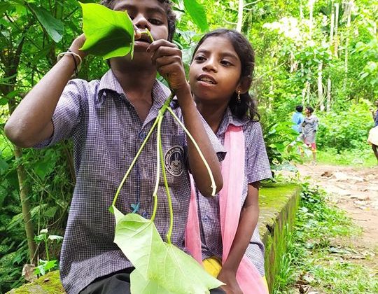 Kerala: Before it rains