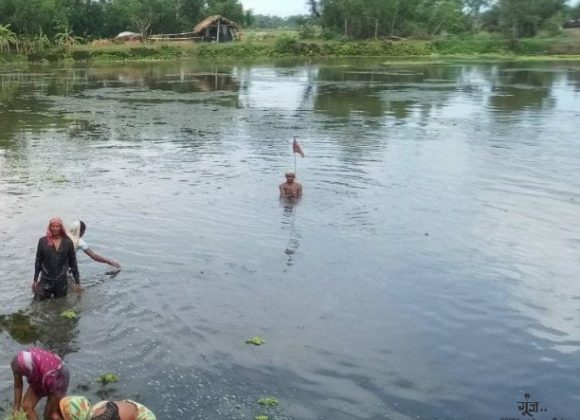 Making the Pond ready for monsoon