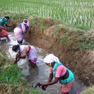 Tamil Nadu: Ensuring food security