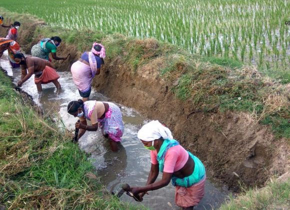 Tamil Nadu: Ensuring food security