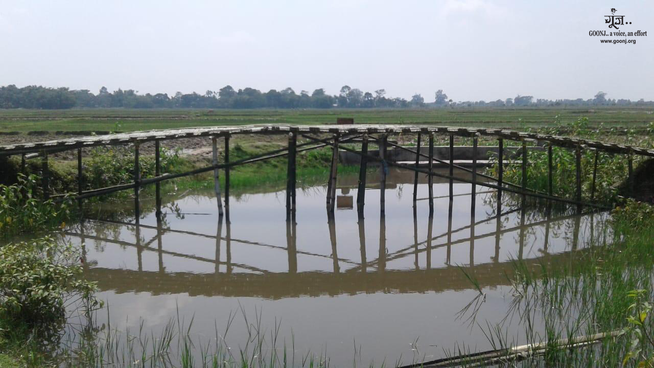 West Bengal: Building bridges…