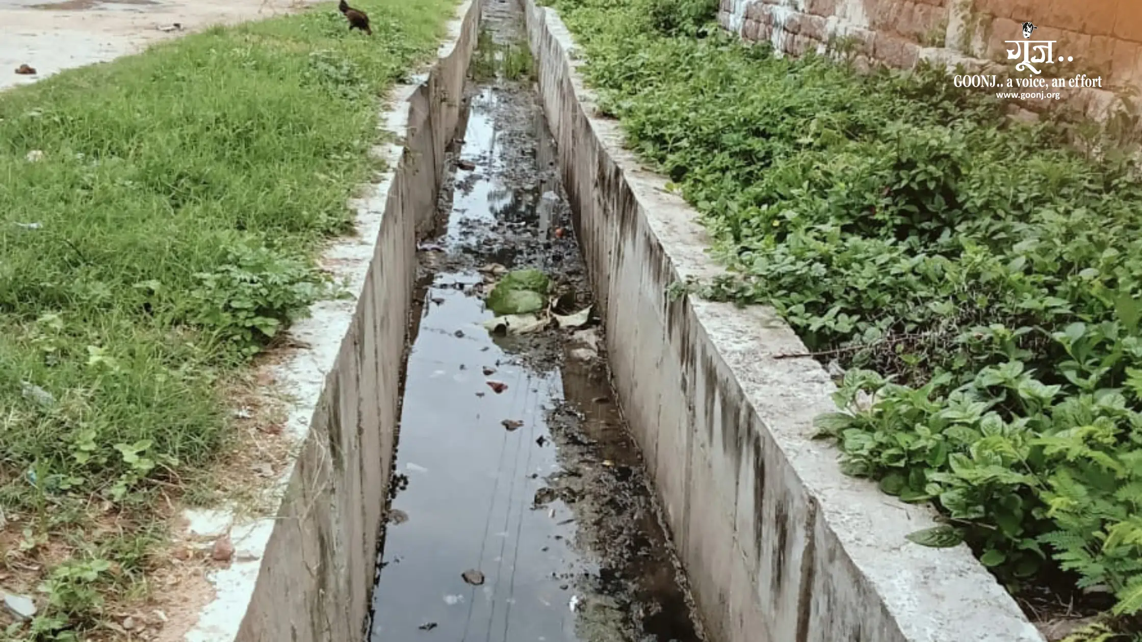 Perkiweedu Community Takes Action: Cleaning Plastic Pollution from Their Canal