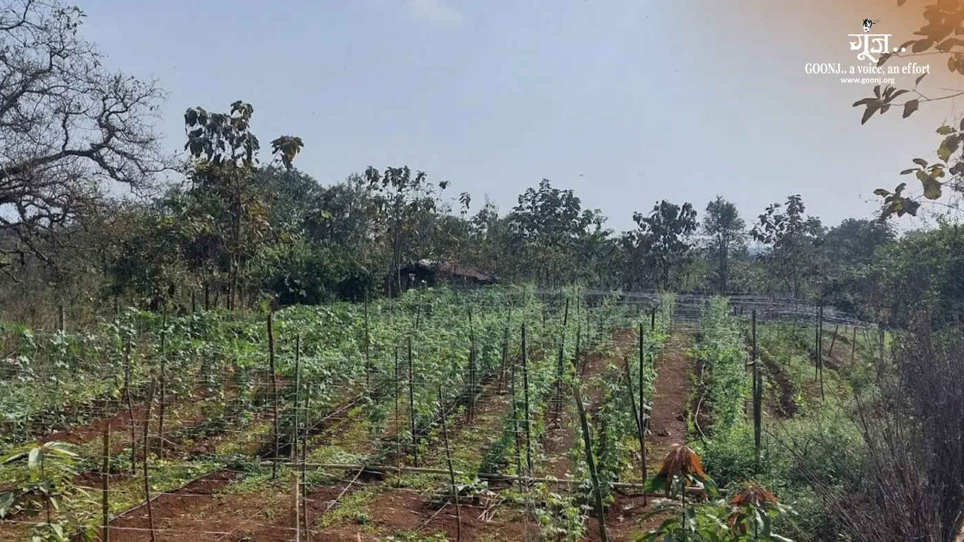 From Awareness to Action: Women in Tembhare Grow Their Own Nutrition