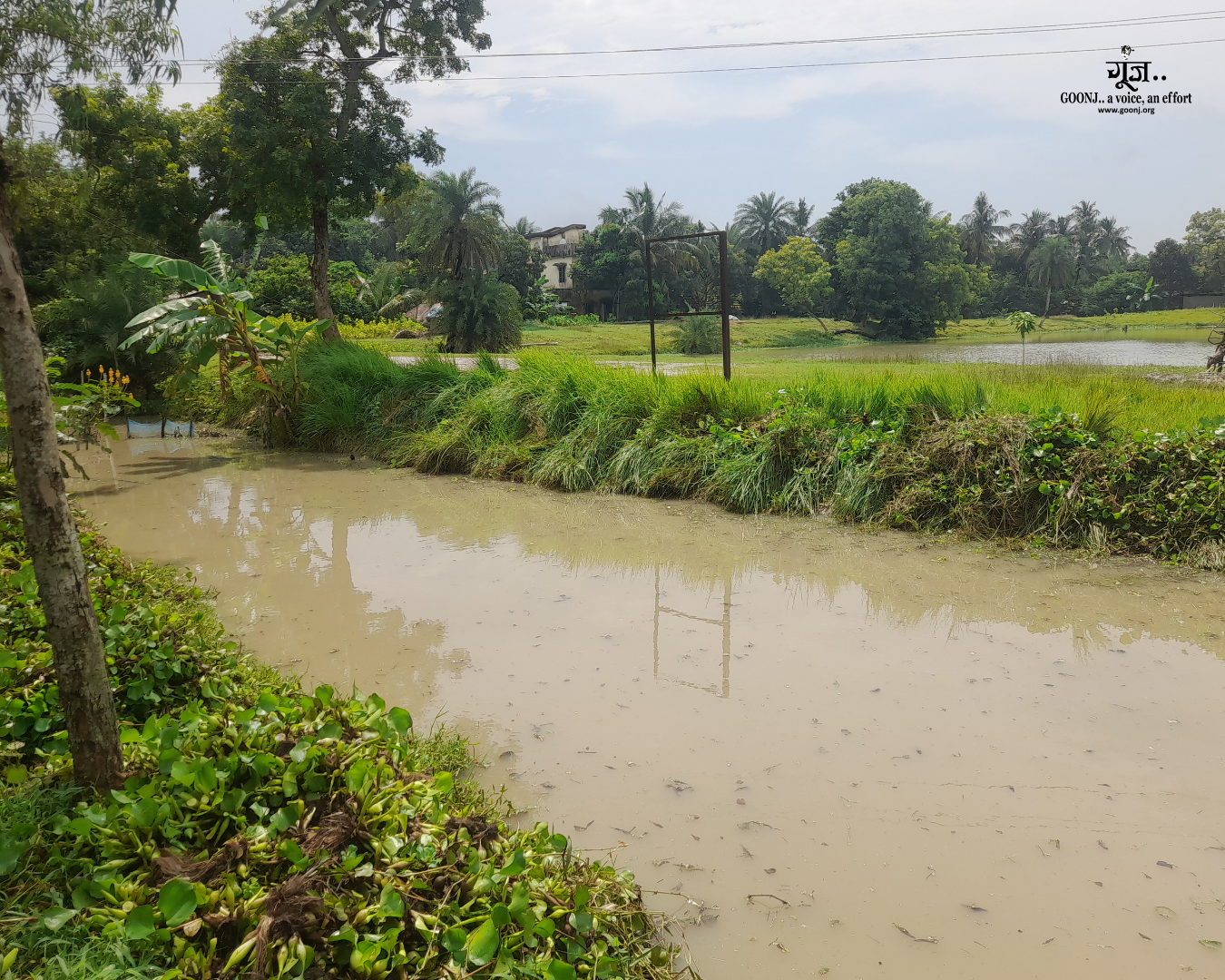 Canal restored after community effort A restored canal after the collective effort, reflecting improved surroundings and reduced health risks for the community