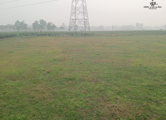 Tea Cultivation in Jalpaiguri: Reclaiming Livelihoods from an Abandoned Tea Garden Tea Cultivation in Jalpaiguri: Reclaiming Livelihoods from an Abandoned Tea Garden