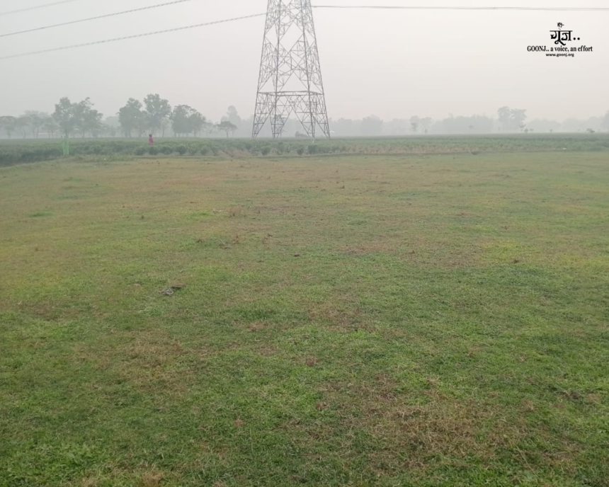 Tea Cultivation in Jalpaiguri: Reclaiming Livelihoods from an Abandoned Tea Garden Tea Cultivation in Jalpaiguri: Reclaiming Livelihoods from an Abandoned Tea Garden