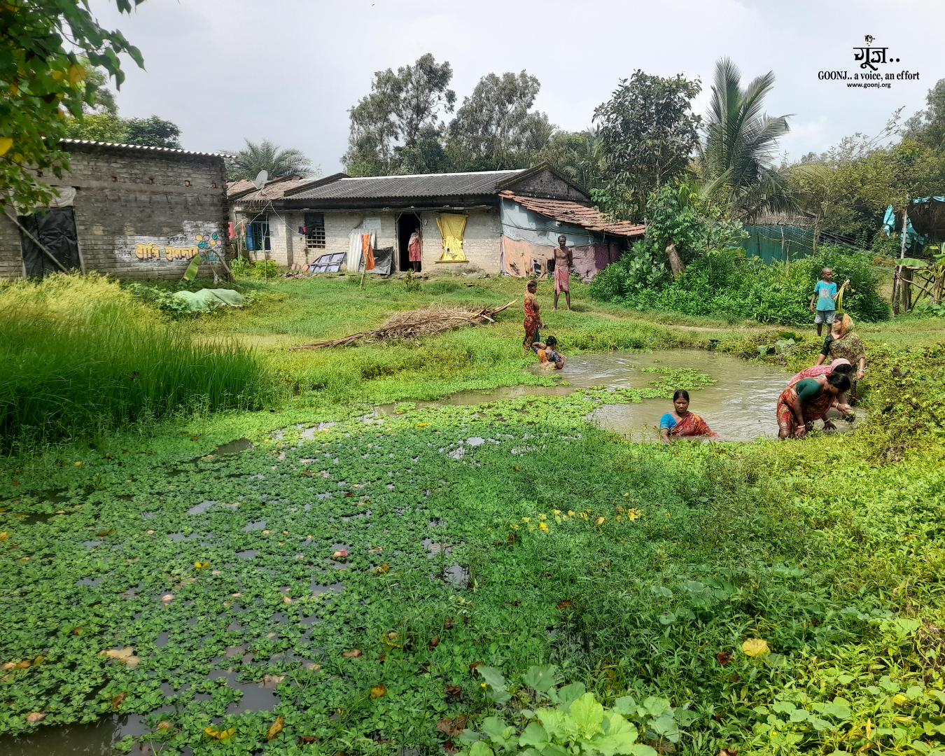 Women come together to clean the canal Around 40 women collectively engaged in cleaning the canal, contributing their labour over three days to address a shared problem