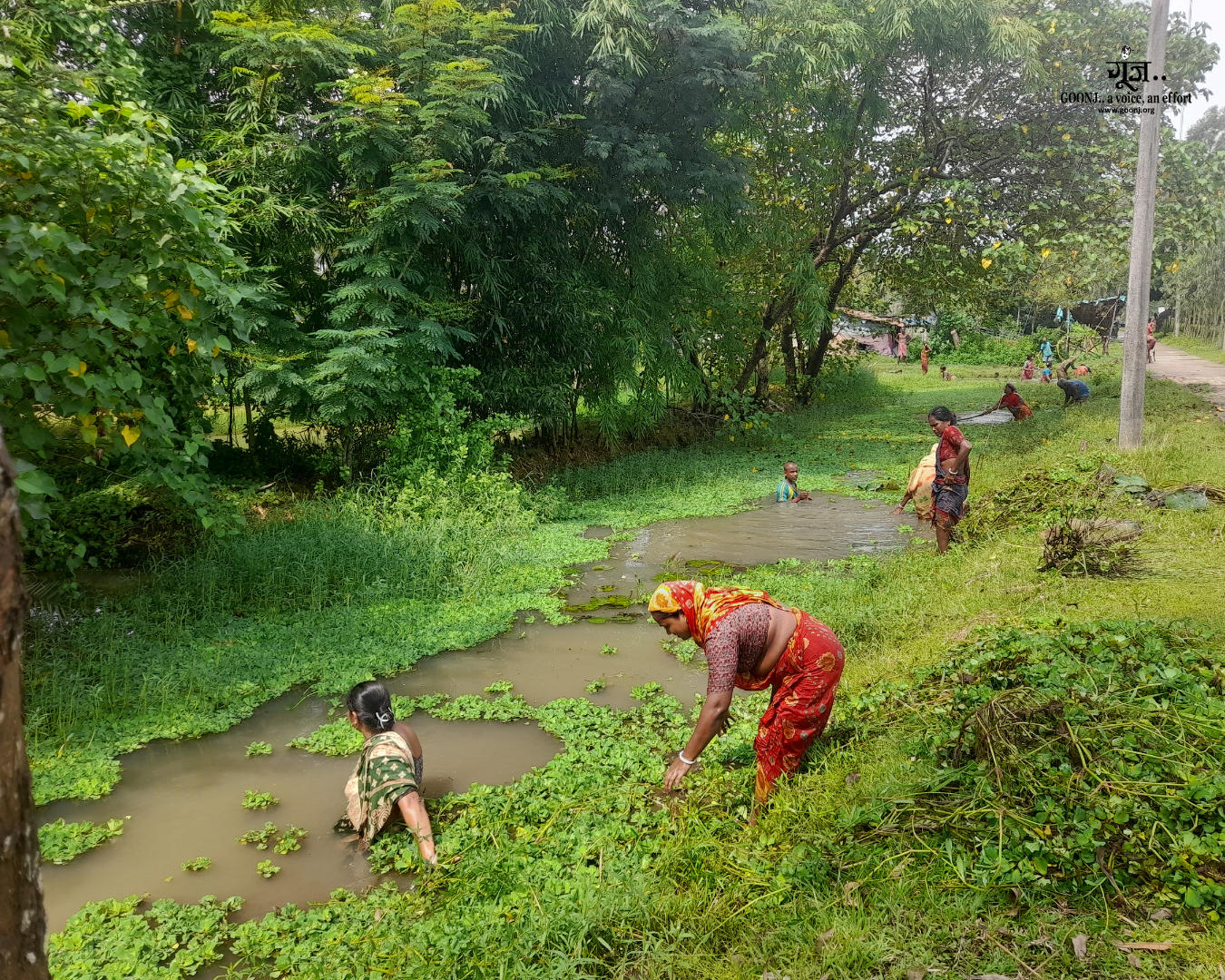 Collective effort in action during canal cleaning Women working side by side, removing waste and weeds from the canal as part of a community-led cleanliness effort