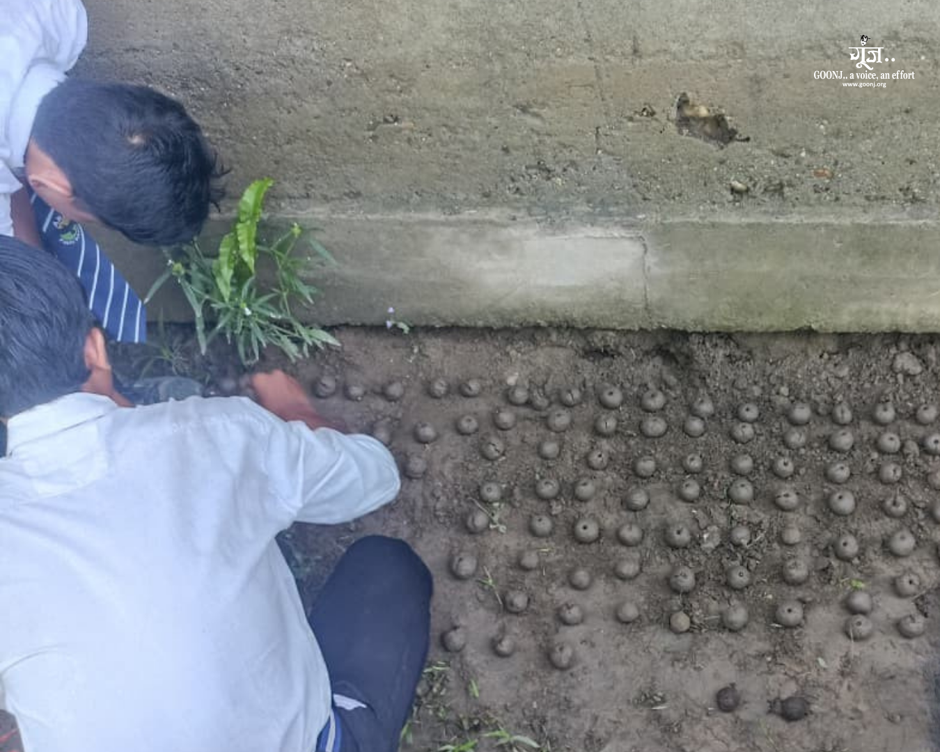 Children making seed balls in Majuli Villagers, including children, preparing seed balls using soil and seeds for plantation in flood-affected Majuli, Assam
