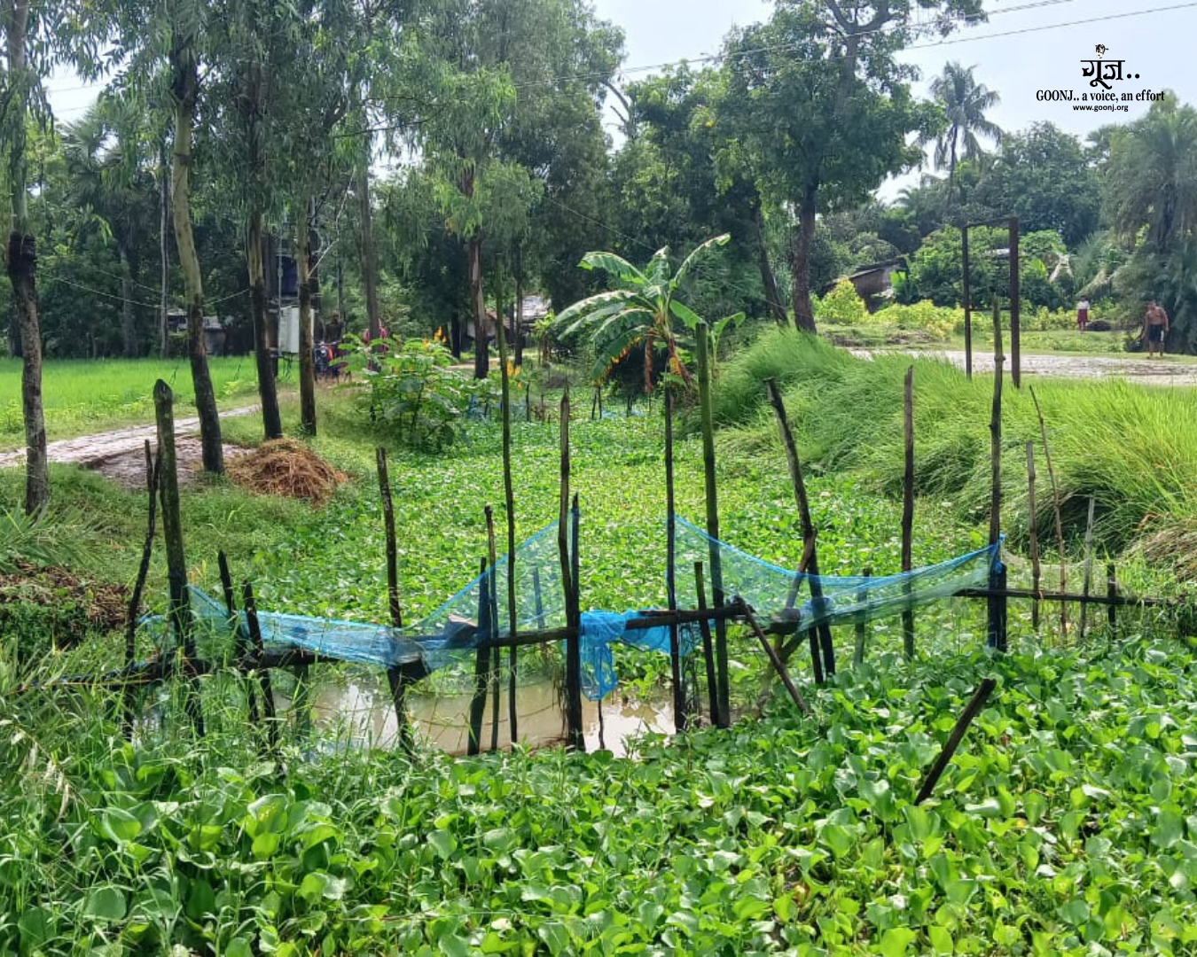 Canal choked with waste before community action An overgrown and dirty canal filled with waste and weeds, creating breeding grounds for mosquitoes and increasing risks of dengue and malaria during monsoons
