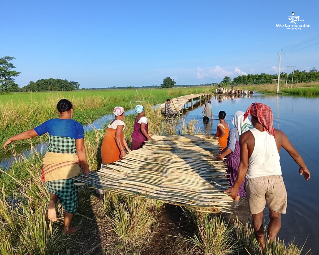 Transporting Bamboo Materials for Community Bridge Construction