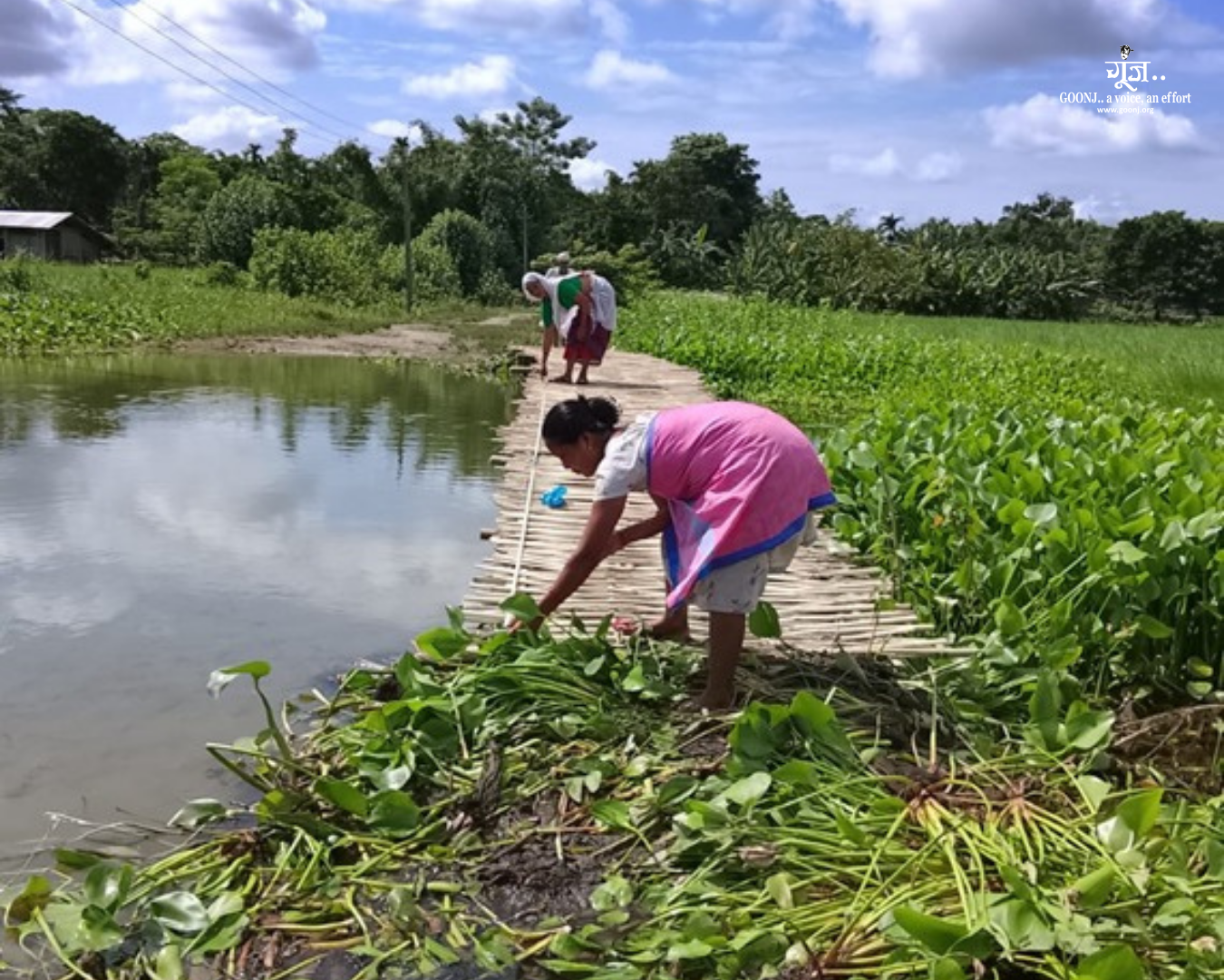 Newly Constructed Bamboo Bridge Improving Village Connectivity