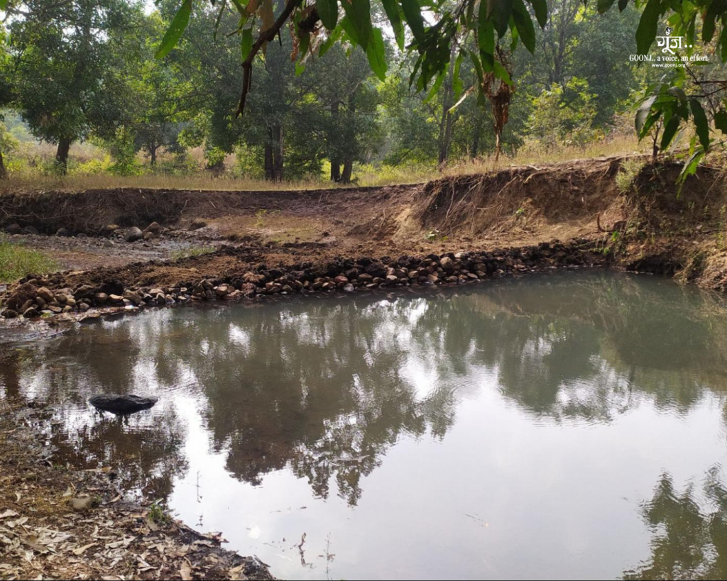 The Check Dam Continues to Serve the Community