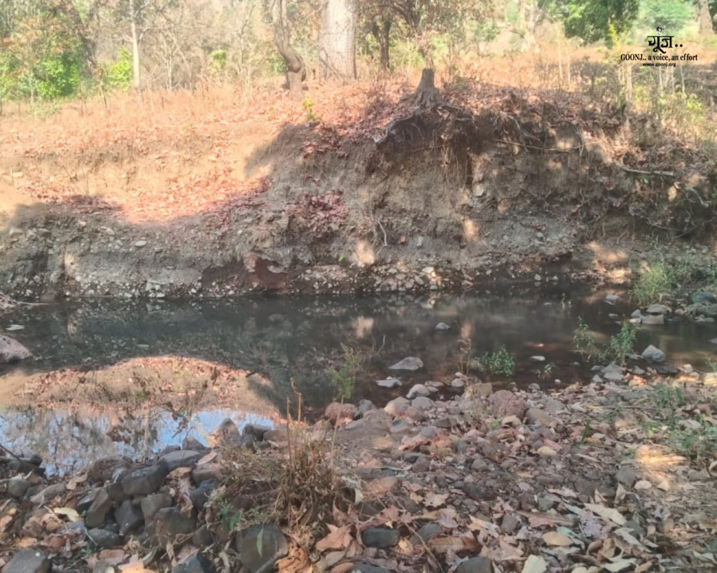 The Check Dam Three Years Later