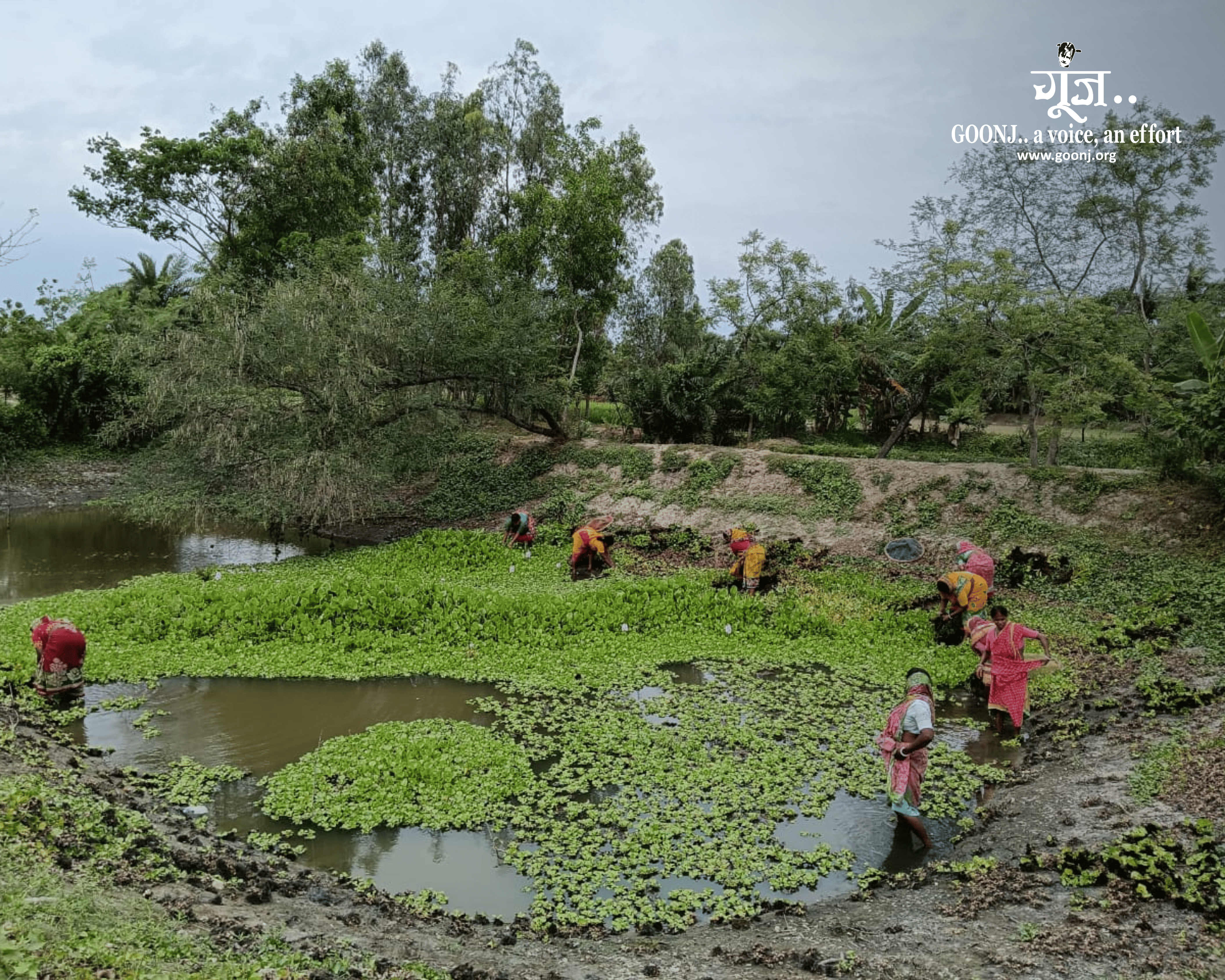 Ten villagers cleaned the 50-by-50-foot pond over three days to make it usable.