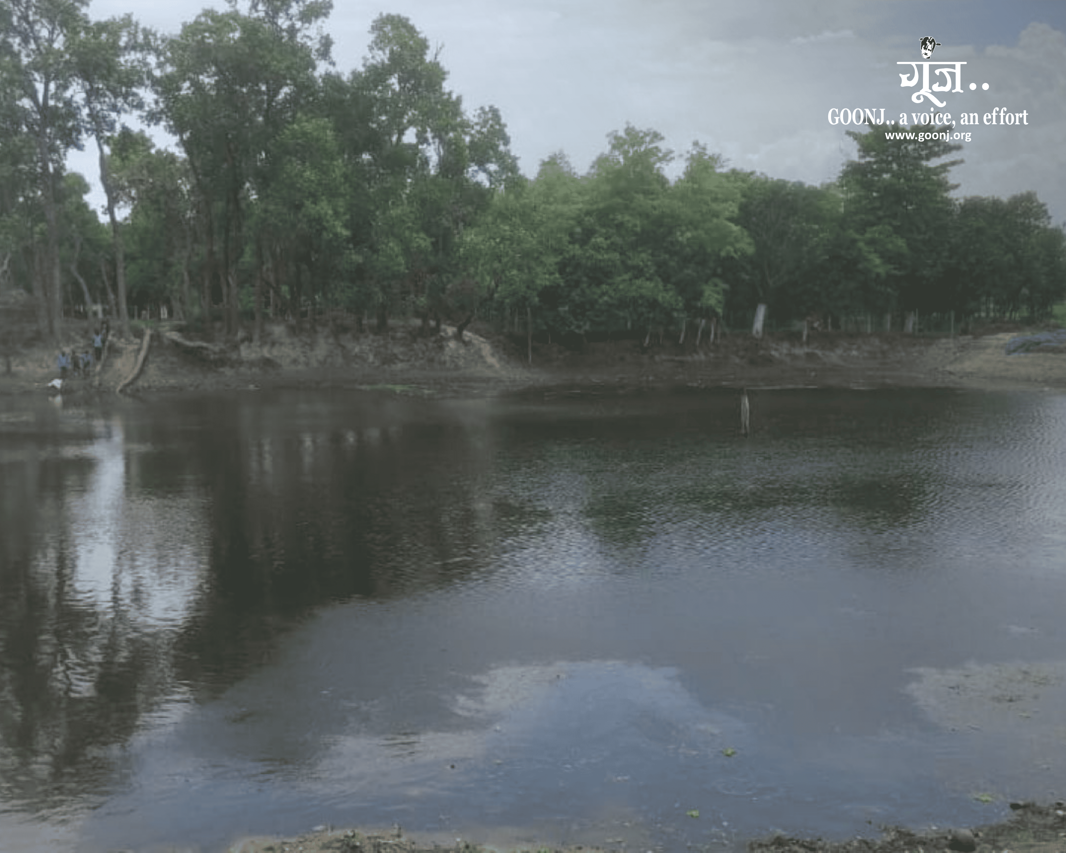 The revived pond now serves nearly 500 families in Musahari Tola.
