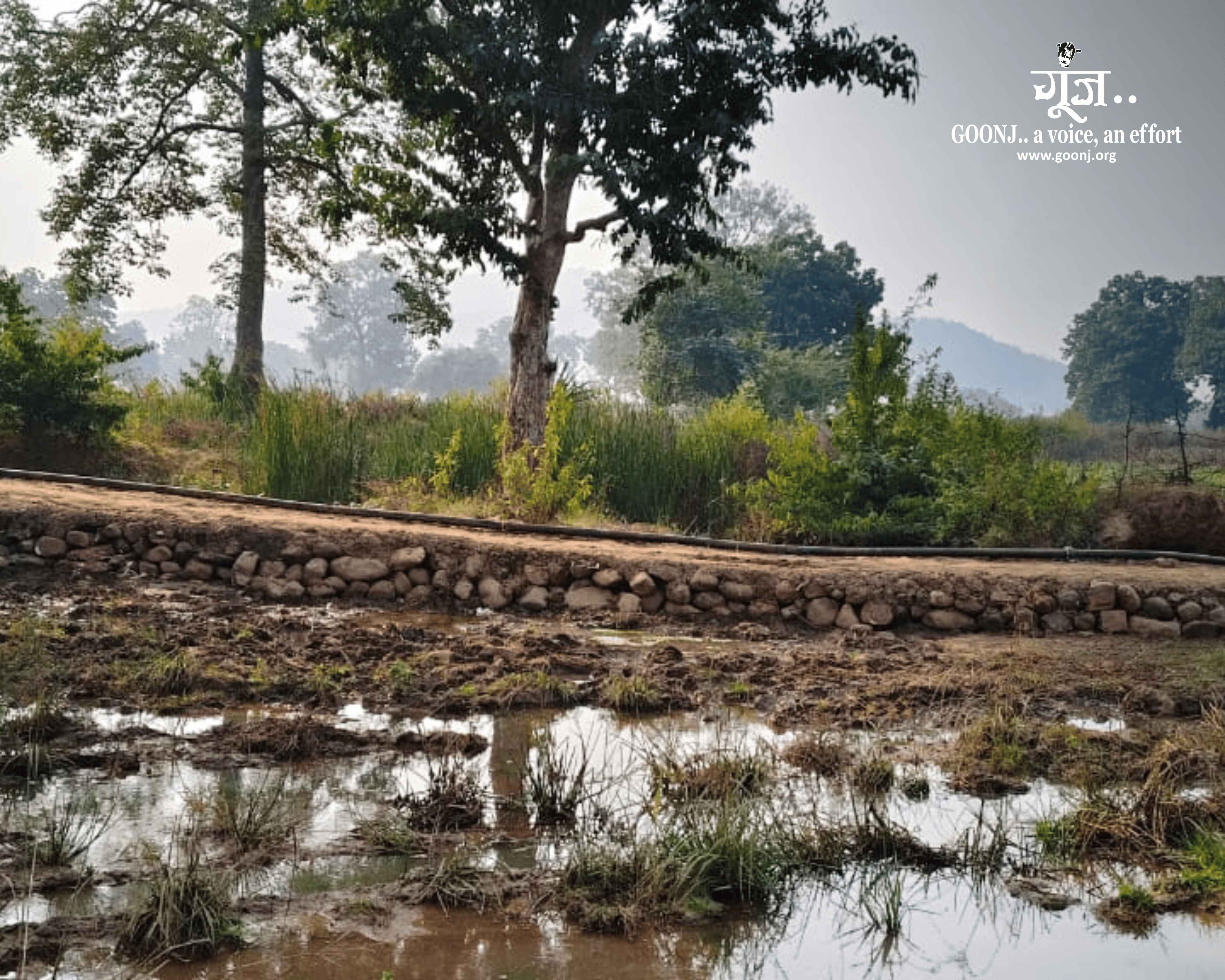 The completed stone crossing now lets farmers, livestock and vehicles reach the fields safely throughout the year.