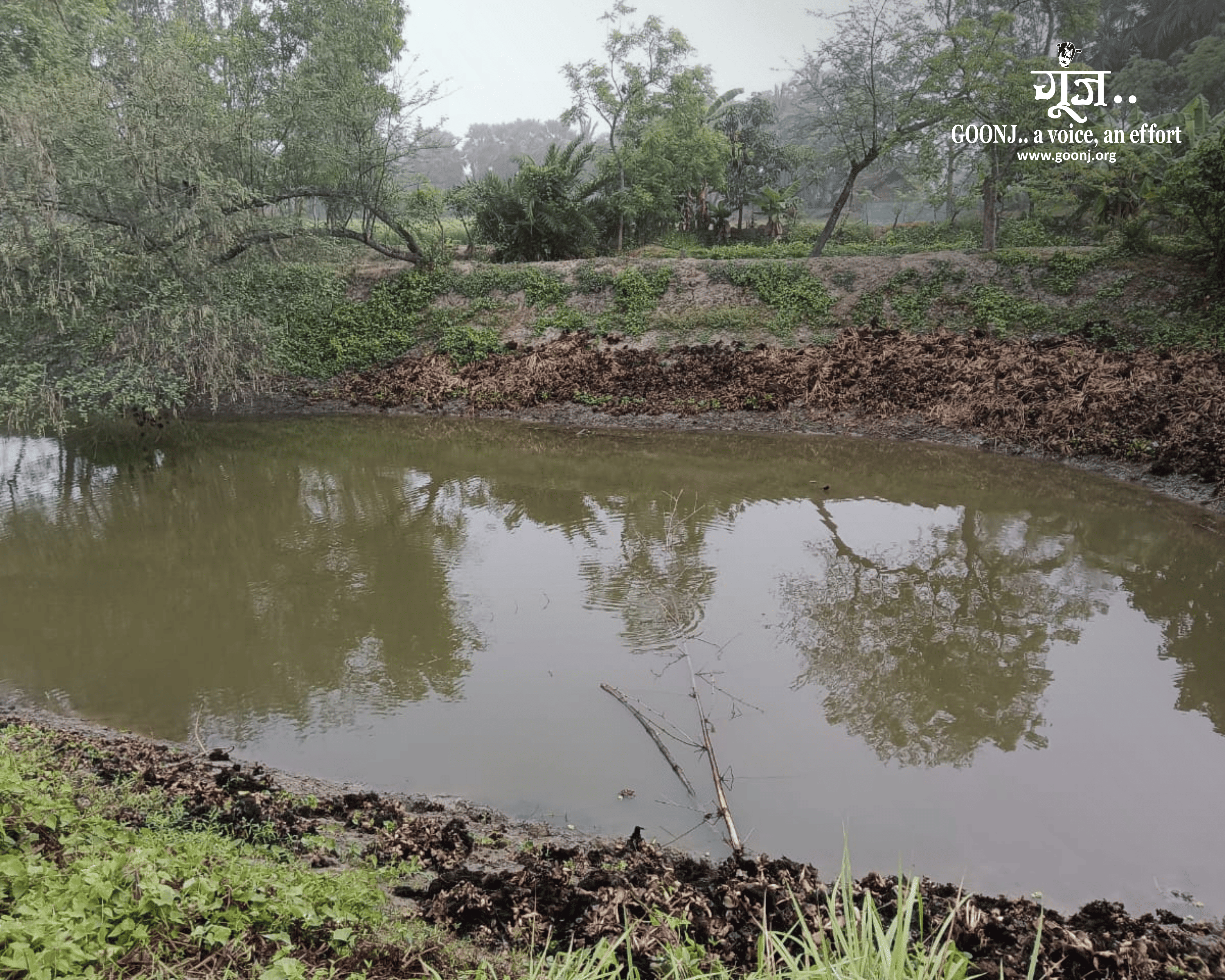 The restored pond now supports bathing and daily water needs during summer.