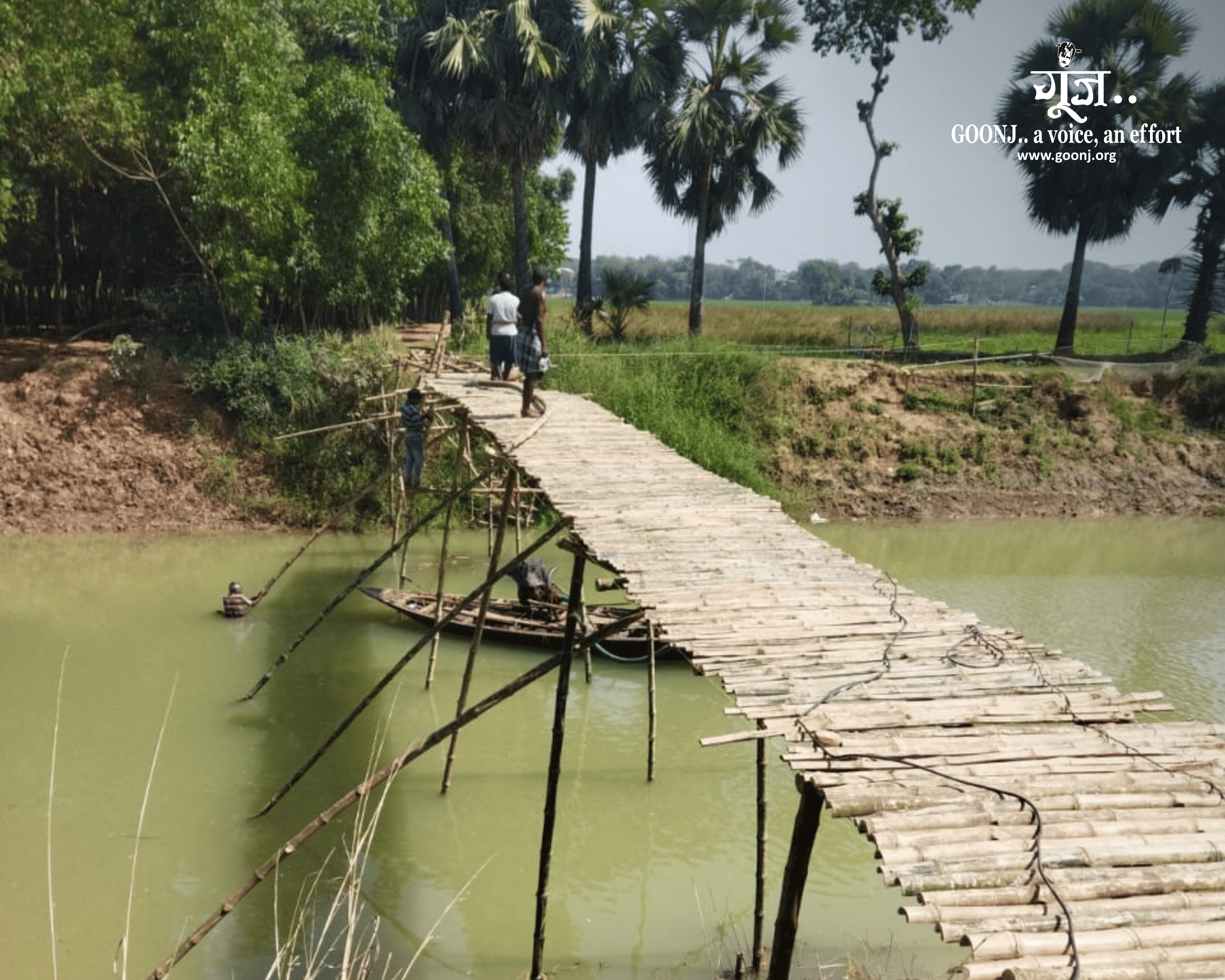 The new bamboo bridge cuts a 10–12 km detour down to about one kilometre, reconnecting Maharajpur with nearby villages.